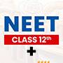 Class 12th Plus NEET